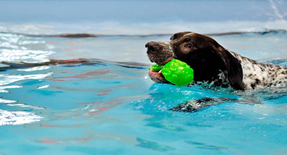 Swimming