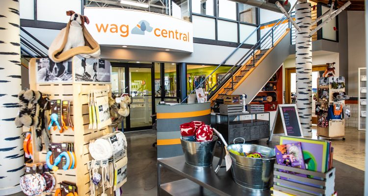 Wag Central Is Officially One Of America’s Coolest Stores!